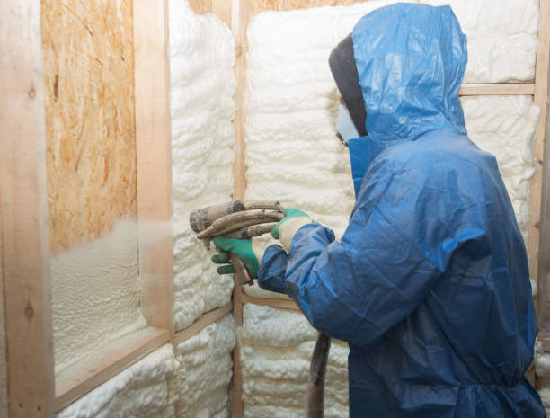 Best Crawl Space Insulation  in New Lenox, IL